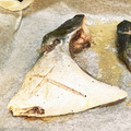 きゃん♡ママ's cooksnap of when they made 鰤かまの塩焼き.