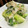 ♪Key♪'s cooksnap of when they made 菜花の明太とろろ和え.