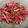 クックLDX6TD☆'s cooksnap of when they made 鮮やか！！紅芯大根のサラダ.
