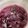 クック0PJQ3G☆'s cooksnap of when they made 紫芋のはちみつレモン煮.