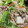 ﾌﾞﾚﾝﾀﾞ's cooksnap of when they made もやしを長持ちさせる方法.