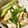 チャイチャイママ's cooksnap of when they made 簡単！山東菜＆豆腐の炒め煮♪.