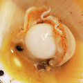 yukielep77's cooksnap of when they made 簡単、美味しい！　月日貝のバター焼き.