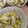 うめもり♪'s cooksnap of when they made 簡単♪生白菜と塩昆布のツナマヨ和風サラダ.