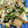 ameうめ's cooksnap of when they made のり佃煮野菜炒め.
