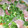 meechin's cooksnap of when they made 全粒粉　ピザ生地.