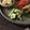 まろんかふぇ's cooksnap of when they made さっぱり美味しい♪たたきキュウリ.
