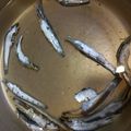 クックZTZ10H☆'s cooksnap of when they made いりこ出汁の取り方.