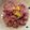 クックUW92JL☆'s cooksnap of when they made 菊の花のかんたん酢漬け.