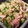 クックG1CG0C☆'s cooksnap of when they made *余ったガリ*と*きゅうり*であと一品☆.
