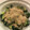 jabeatk's cooksnap of when they made 塩こうじ漬きゅうりのごままみれ.