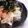 クックDECGNO☆'s cooksnap of when they made 粉末だしで和える大根サラダ.