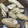 ﾌﾞﾚﾝﾀﾞ's cooksnap of when they made 牡蠣の酒蒸し.