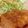 みいみいまる's cooksnap of when they made 有名洋食店のポークジンジャー.