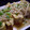 ＊モコモコ＊'s cooksnap of when they made ごちそう卵焼き.