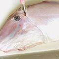 ♡マッキークッキング's cooksnap of when they made 【捌いてみた】カワハギ.