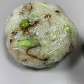 チャンヨシオ's cooksnap of when they made お弁当に☆枝豆塩こんぶの混ぜ御飯♪.