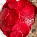 フラニー's cooksnap of when they made 紅大根の甘酢漬け　塩分少なめですぐどうぞ.