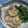 amamitu's cooksnap of when they made 鳥もも肉のさっぱりしょうが焼き.