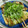 たべたべこ's cooksnap of when they made 牡蠣とネギのオイスターソース炒め♬.