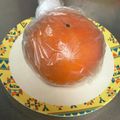 しーてっぷ's cooksnap of when they made 柿を長持ちさせる保存方法.