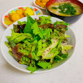 へい♡ゆー♡'s cooksnap of when they made ☆レタスとセロリの爽やかゆかり和え〜♪.