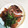 お山のエイ's cooksnap of when they made 鯛のあらと大根の煮付け.