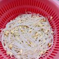 ぽにょ＾ω＾'s cooksnap of when they made 大豆もやしのゆで方.