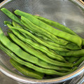 Asato★'s cooksnap of when they made いんげんの基本のゆで方.