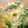 クックユナのバァバ's cooksnap of when they made ちんげんさいとカニカマの中華スープ.
