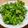 クック4PNDB7☆'s cooksnap of when they made 簡単！わさび菜のわさびサラダ.