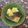 yu091's cooksnap of when they made ぶりと蕪の煮物.