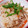 あっきー5296's cooksnap of when they made 誰でも簡単しめじとえのきの炊き込みごはん.