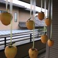 フレッシュハーブ's cooksnap of when they made おじいちゃん秘伝♪干し柿の作り方♪.