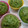 o＿OMAMe＿o's cooksnap of when they made ほうれん草の蒸しパン.