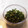 のんた＆きなこ's cooksnap of when they made 簡単！大根の茎で浅漬.