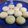 ★ayu★mi★'s cooksnap of when they made 簡単♪ふるわない時短！マカロン.