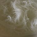 Yokchina's cooksnap of when they made 楽チン☆春雨をレンジで湯がく.
