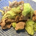 よッちャん's cooksnap of when they made メインにもなるレタスと豚小間の簡単サラダ.