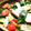 クリーピングタイム☆'s cooksnap of when they made ロメインレタスとささみのマヨネーズソテー.