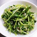ろざーな's cooksnap of when they made 豆苗としらすの胡麻ごまサラダ。.