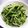 ろざーな's cooksnap of when they made 豆苗としらすの胡麻ごまサラダ。.