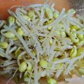あんこだよ。's cooksnap of when they made レンジで簡単！もやしのナムル.