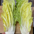 そろそろねんね's cooksnap of when they made 快感！！白菜の切り方☆.