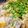 ♡マッキークッキング's cooksnap of when they made 鍋といえば…柳川風・うどん鍋.