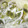 クック0R2I5I☆'s cooksnap of when they made わかめと玉ねぎの中華スープ.