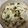 ひかりのリボン's cooksnap of when they made 蕪の葉飯.