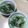 anzujyamu's cooksnap of when they made 小松菜と油あげを炊いてみた.