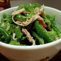 ひっこ's cooksnap of when they made 簡単！ピーマンとカニカマめんつゆごま和え.