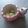 れいが's cooksnap of when they made 抹茶とミルクのサクサク♪スノーボール.